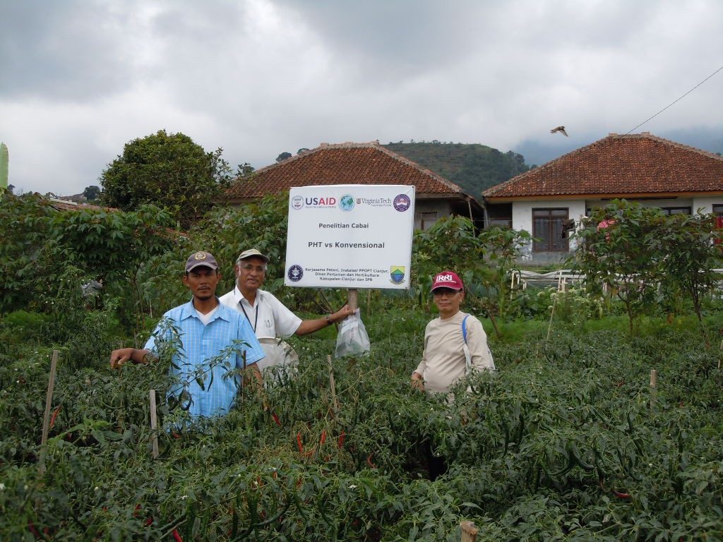 Rangaswamy “Muni” Muniappan, Integrated Pest Management Innovation Lab director (center), stands in a hot pepper trial field in Puncak, West Java, Indonesia, with program collaborators Aunu Rauf (right) of Bogor Agricultural University in Indonesia and Pak Ujang (left), a farmer. Photo courtesy of Muni Muniappan.