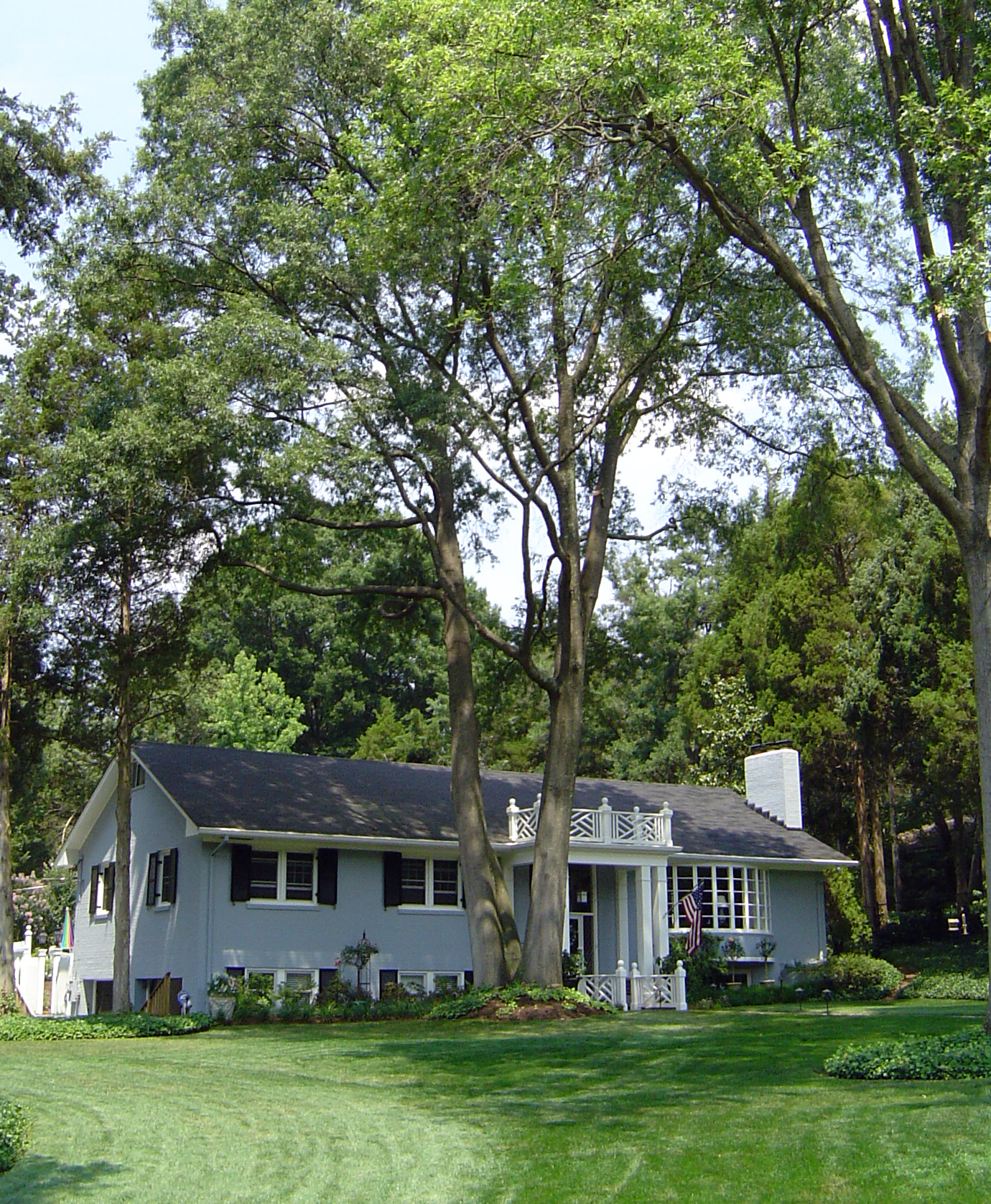 A home surrounded by large trees