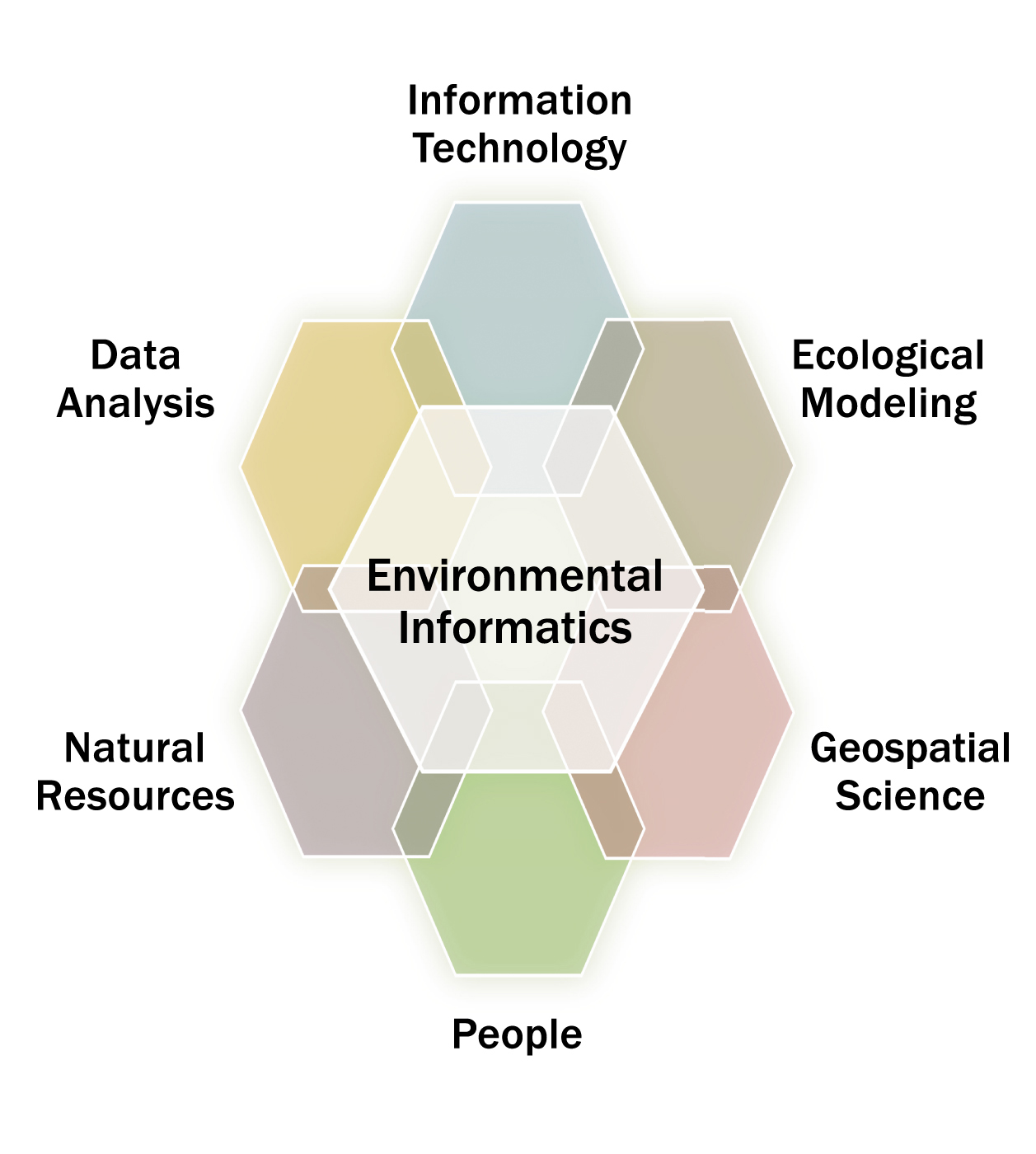 A graphic with environmental informatics at the center, surrounded by information technology, ecological modeling, geospatial science, people, natural resources, and data analysis.