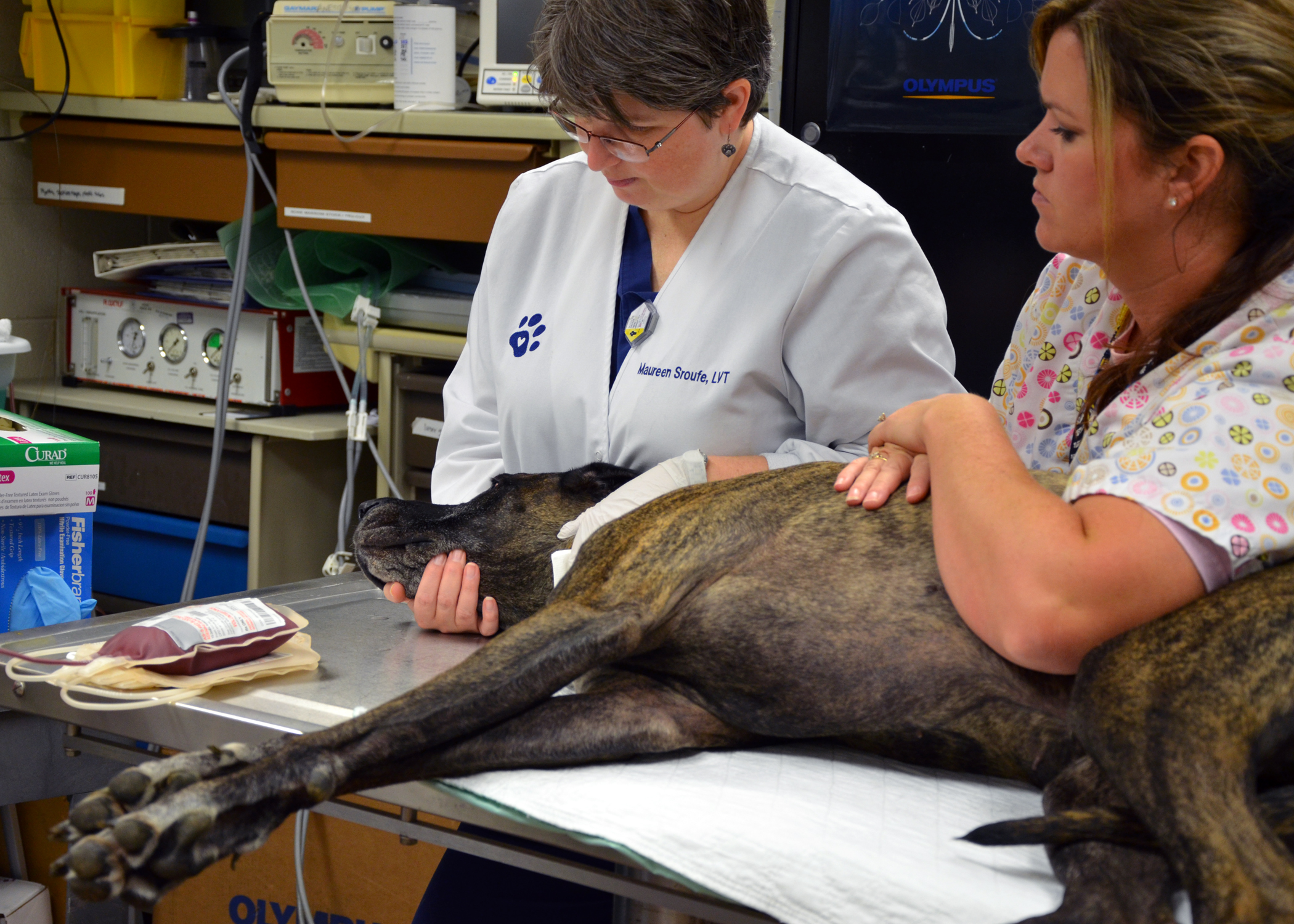 Veterinary college maintains blood bank for animals | VTx | Virginia Tech