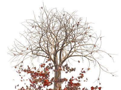 A screen shot of a computer animated tree with falling red and brown leaves on a white background.