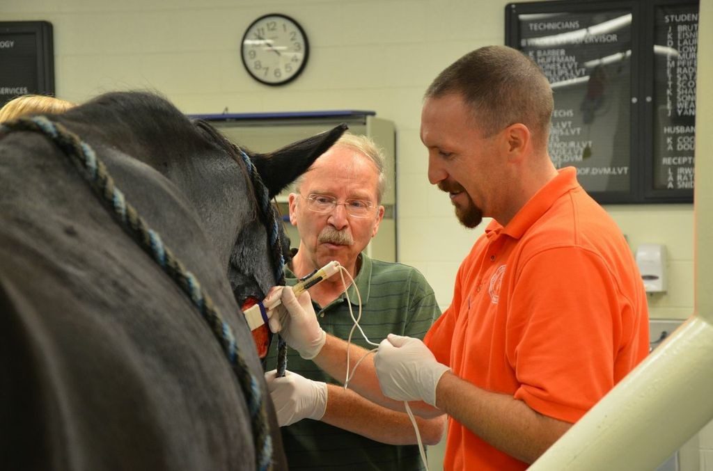 Paco waits patiently while Drs. John Robertson and J. Michael Cissell use a cutting-edge procedure to treat a sarcoid at the Virginia-Maryland Regional College of Veterinary Medicine. 