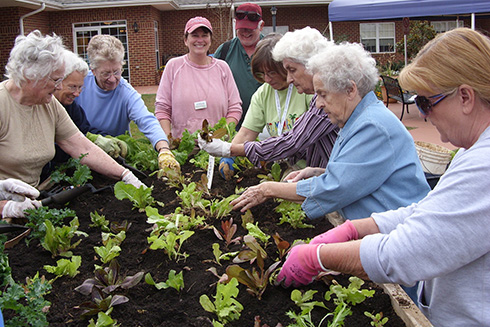 Seniors plant a spring garden in a raised bed.