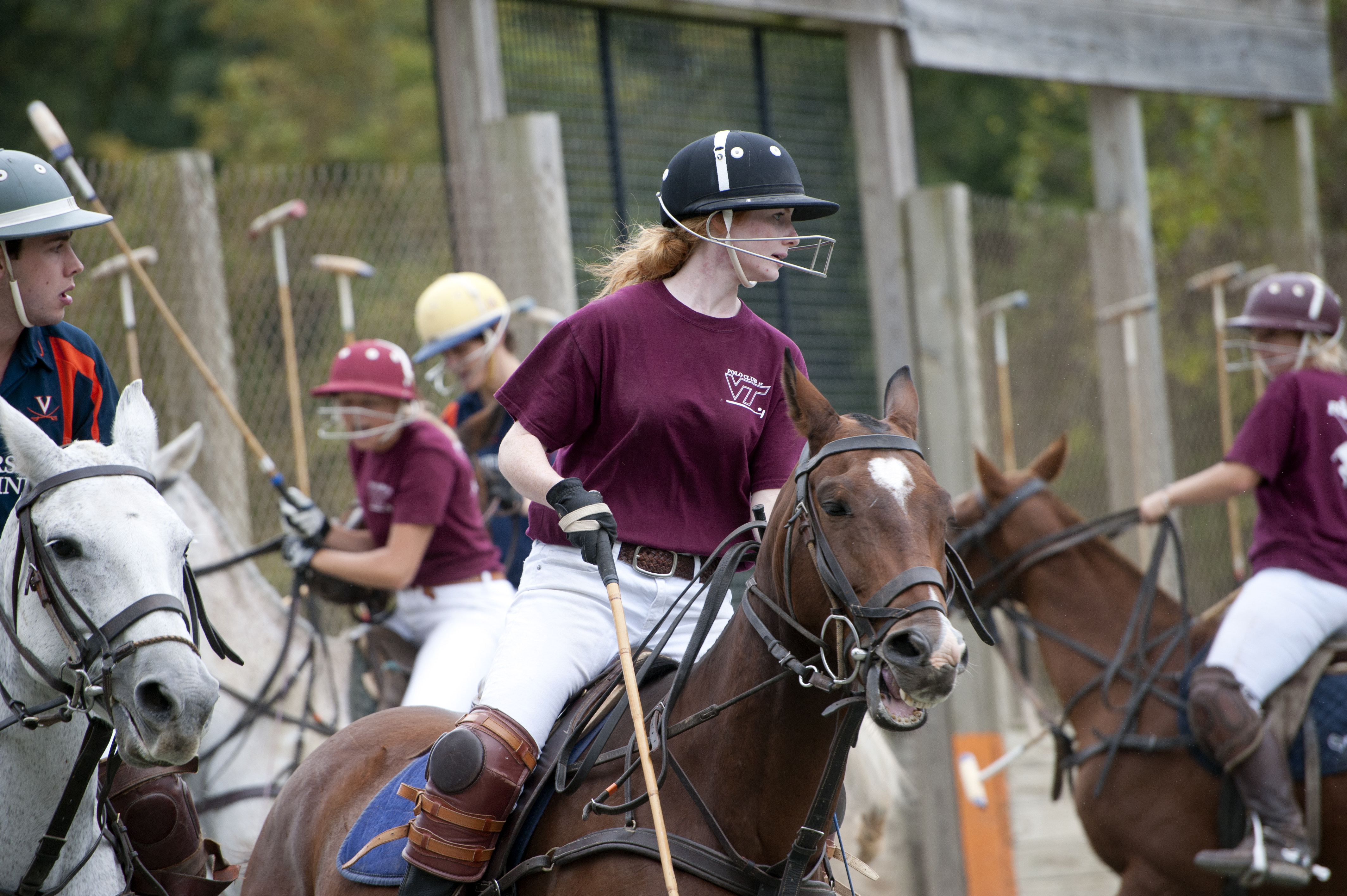 Carolin Neville, a member of the Polo at Virginia Tech team, rides a University of Virginia horse in a game at the Charlottesville campus. The guest team always uses some of the home team's horses. 