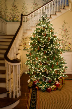 A decorated Christmas tree stands in a house.
