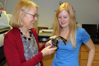 Licorice in beakers used to give students an example of odor in contaminated water.
