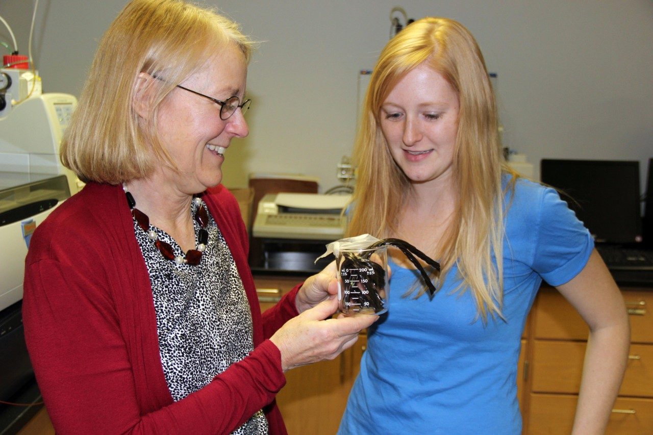 Andrea Dietrich (left), a professor of Civil and Environmental Engineering in the College of Engineering, with her Ph.D. student Amanda Sain, used a beaker of licorice to give students an example of an odor in contaminated water.