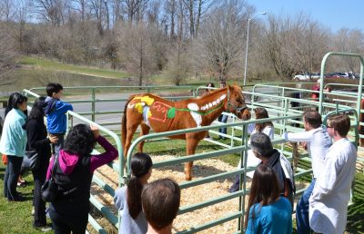 Painted horse demonstration at Open House