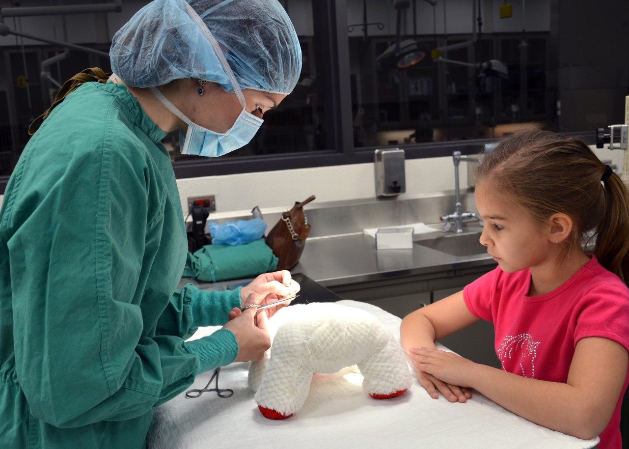 The annual Open House attracts about 1,000 visitors to the veterinary college each year and features demonstrations and lectures for all ages. Pictured here, a third-year student "surgically" repairs a stuffed animal at last year's Teddy Bear Repair Clinic.