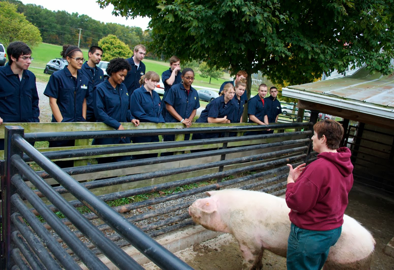 First-year vet students on a farm tour