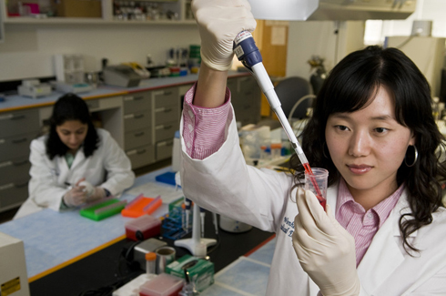 Young researchers work in a lab.