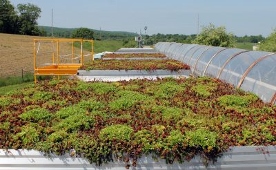 Experimental platforms for green roofing.