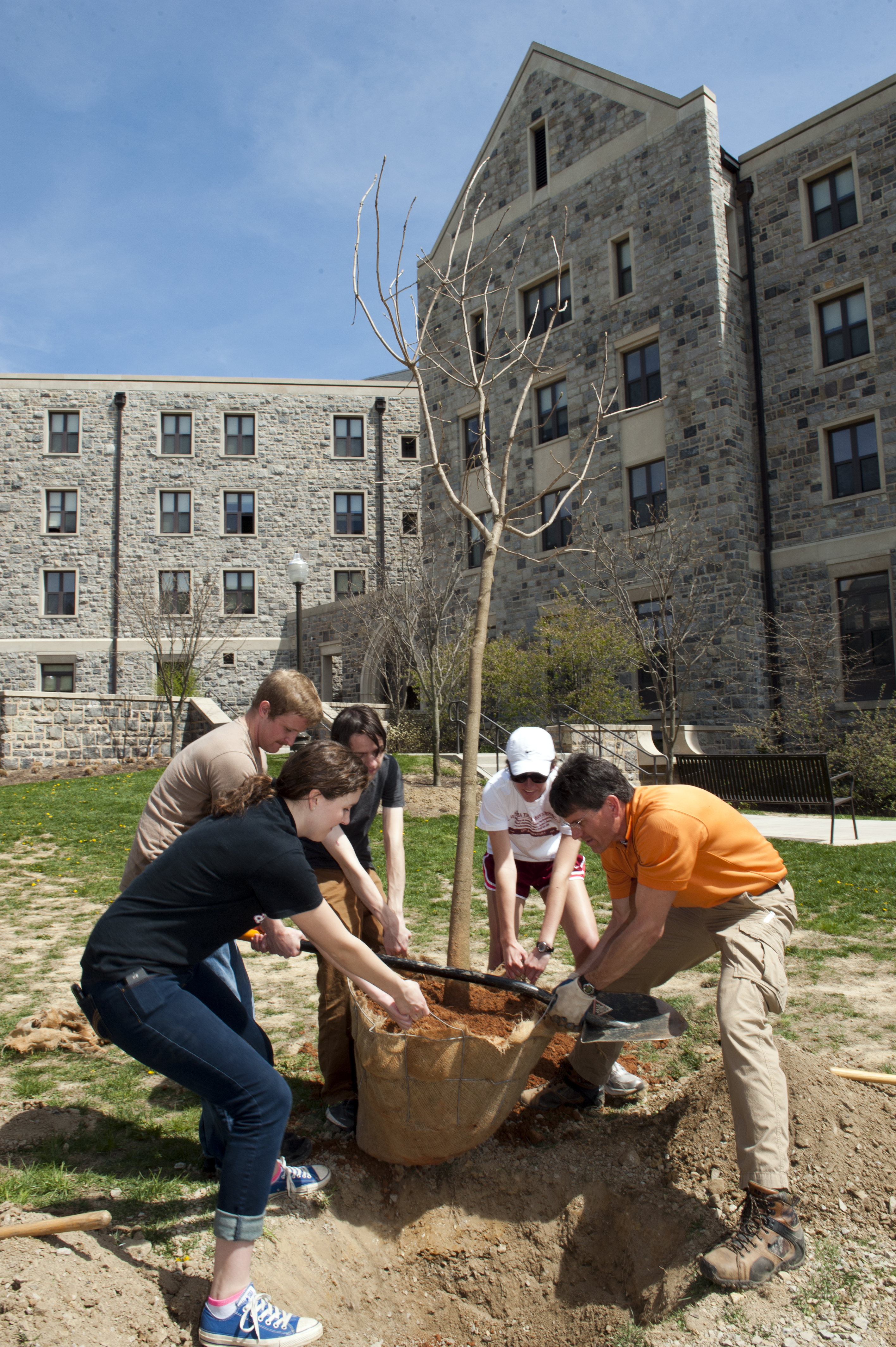 Students plant a tree on campus