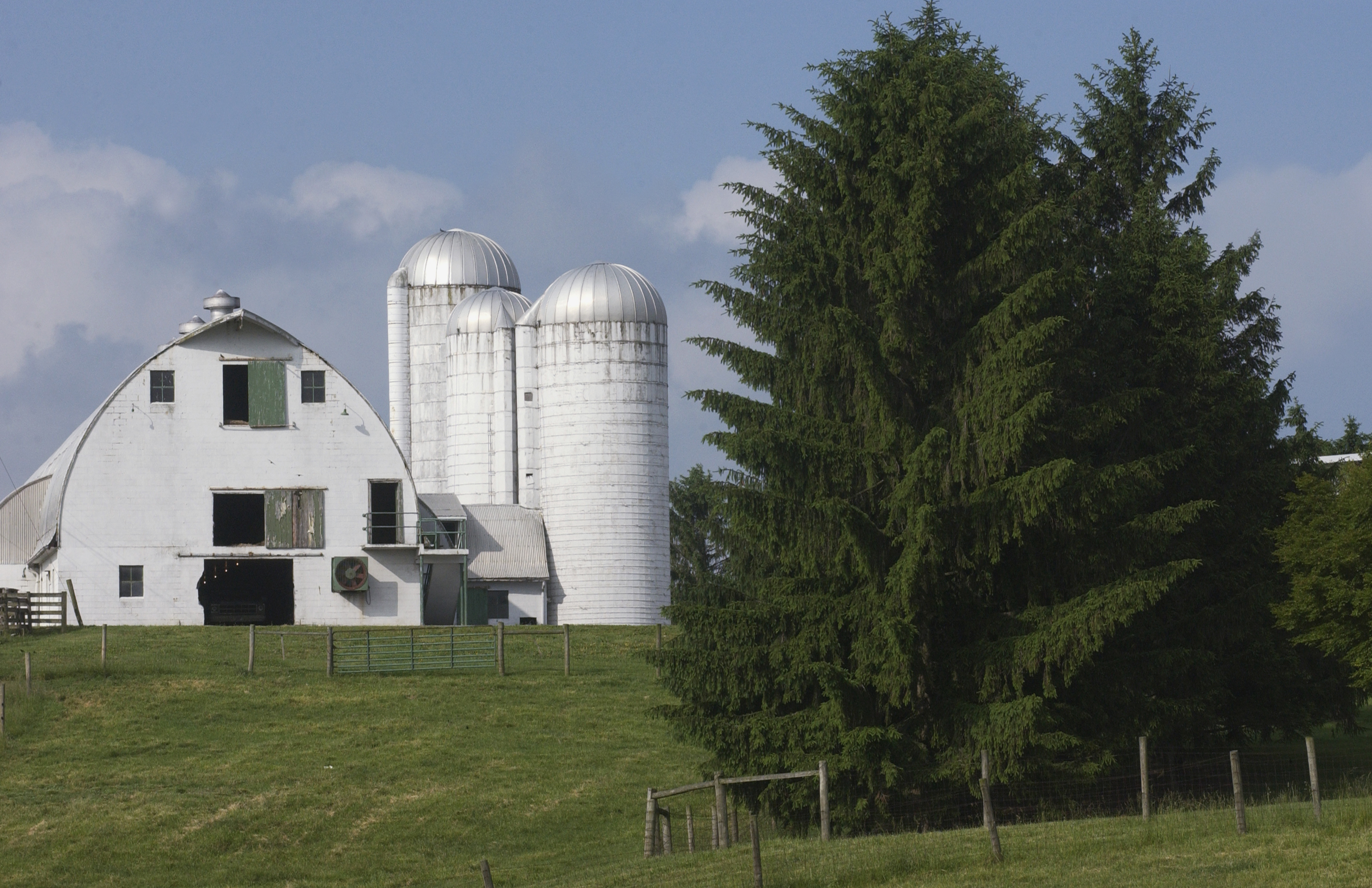 The Virginia Tech Beef Cattle Center's white barn and silos..
