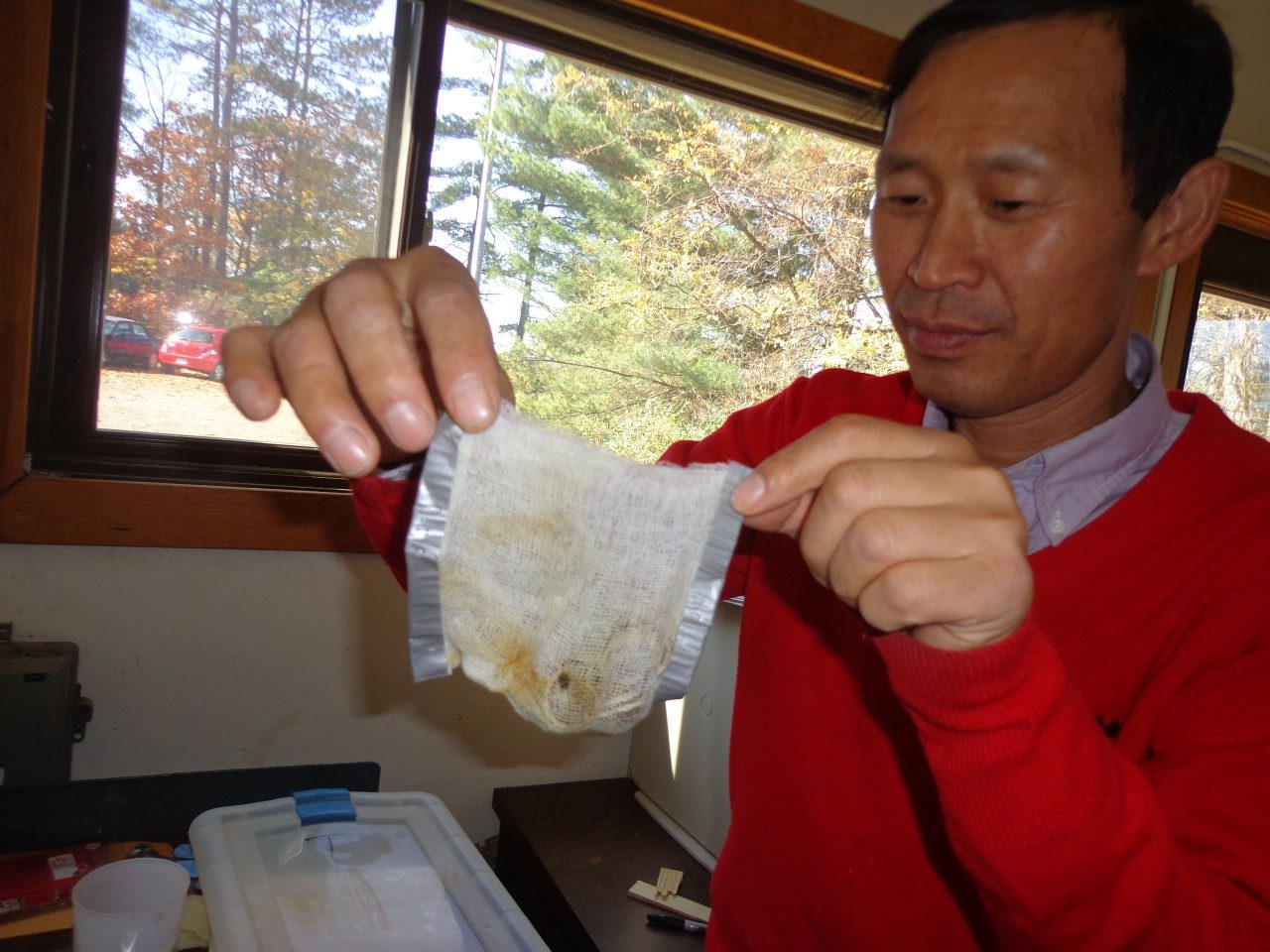 Research Scientist Zhangjing Chen displays a cheesecloth bag containing invasive snails. The snails were secured in bags before the researchers tested their vacuum-steam treatment for eradicating snails from shipments of imported tile.
