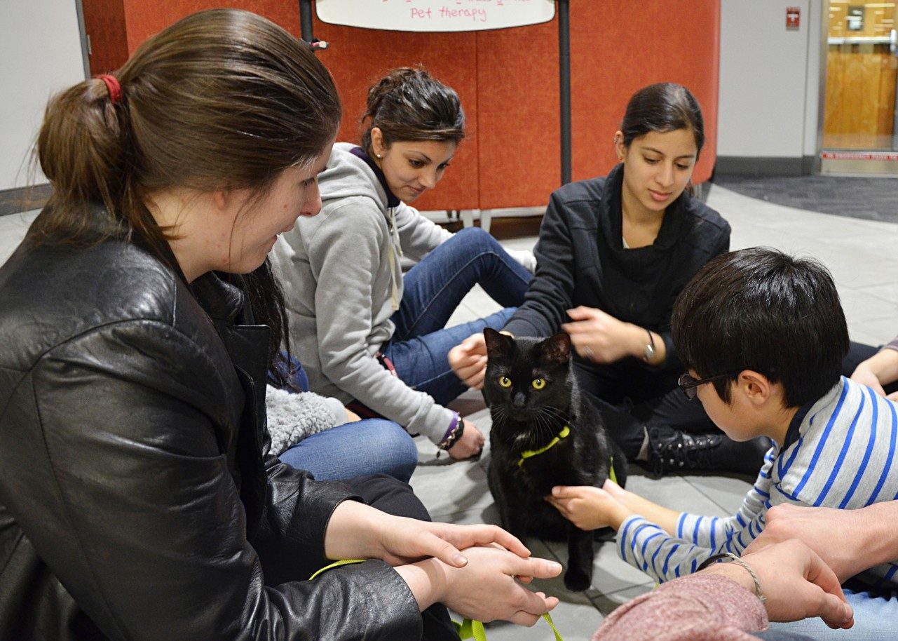 Therapy animals with Virginia Tech Helping PAWS demonstrate the importance of the human-animal bond with regular visits to the library and other parts of the community.