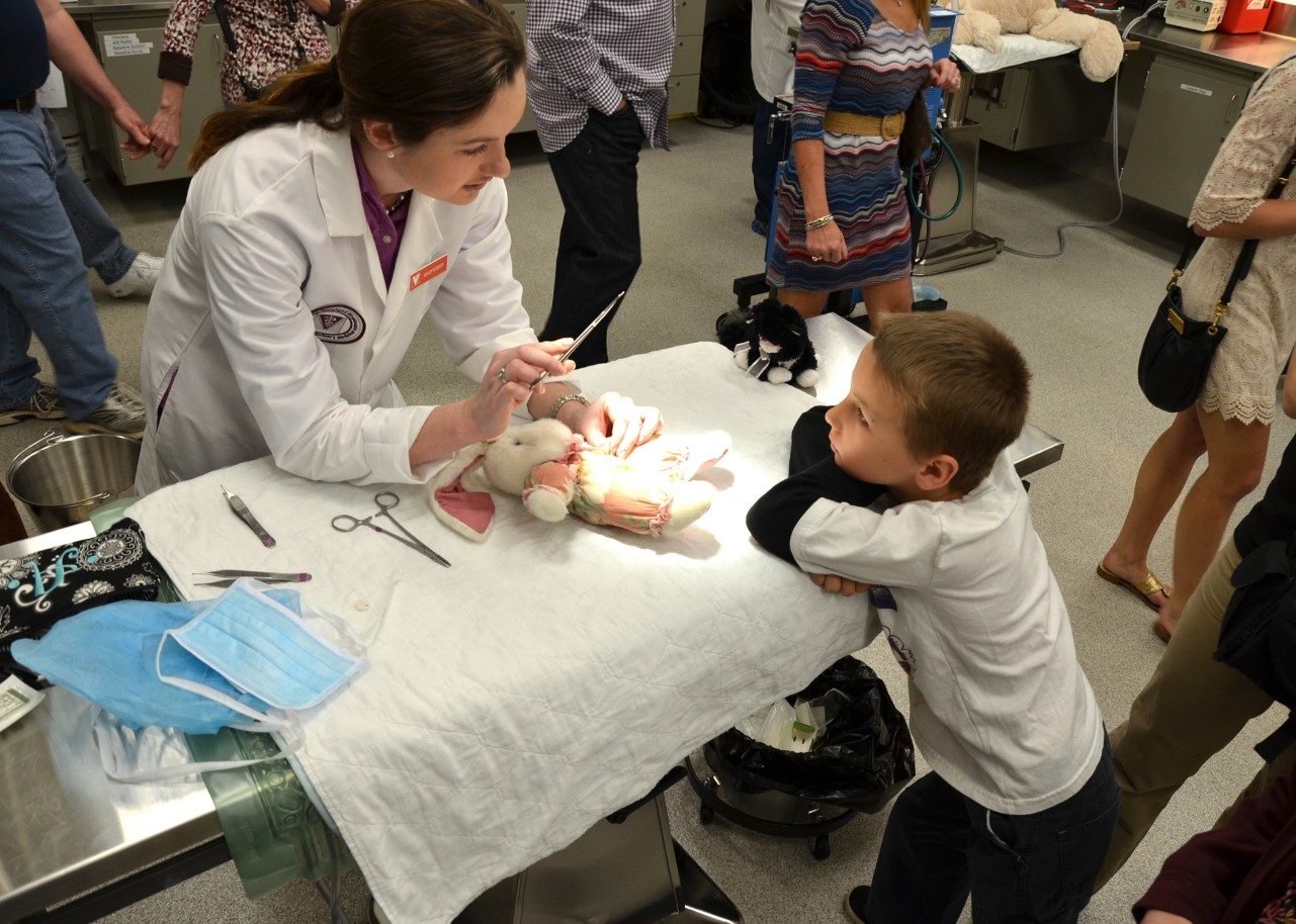 A veterinary student "surgically" repairs a stuffed animal at last year's Teddy Bear Repair Clinic.