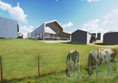 Artist rendering of new bovine extension, teaching, and research facility.