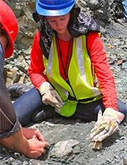 Caitlin Colleary, a doctoral student of geosciences in the College of Science at Virginia Tech, says the original colors of ancient animals can be determined through fossils.