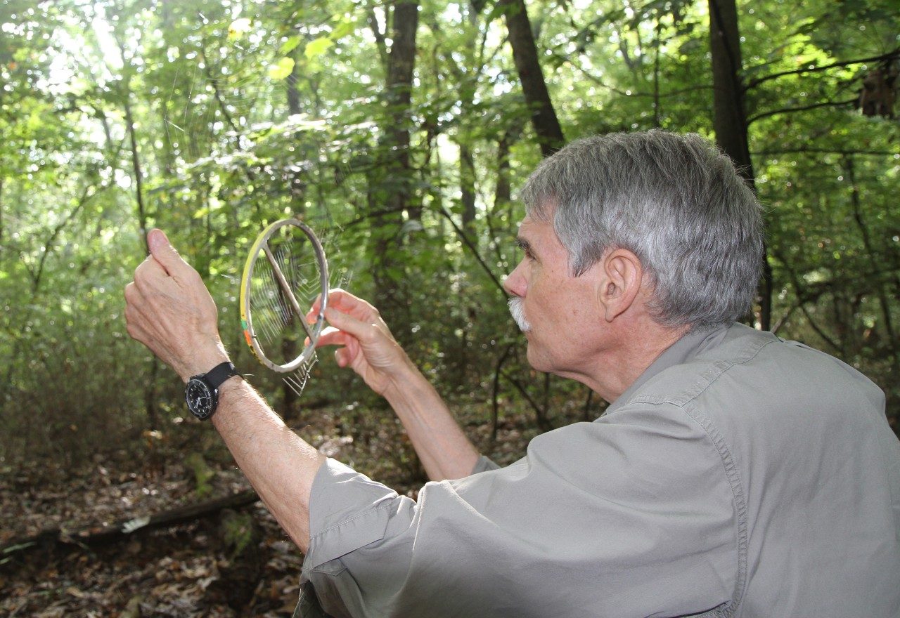 Brent Opell, a professor of biological sciences in the College of Science and a Fralin Life Science Institute affiliate, collects a portion of a spider web.