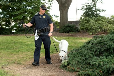  Virginia Tech Police Officer Rob Ogle is Toro’s handler. Toro is a yellow Labrador retriever and a bomb detection dog. He and Ogle were certified by the Virginia Police Work Dog Association in June 2016.