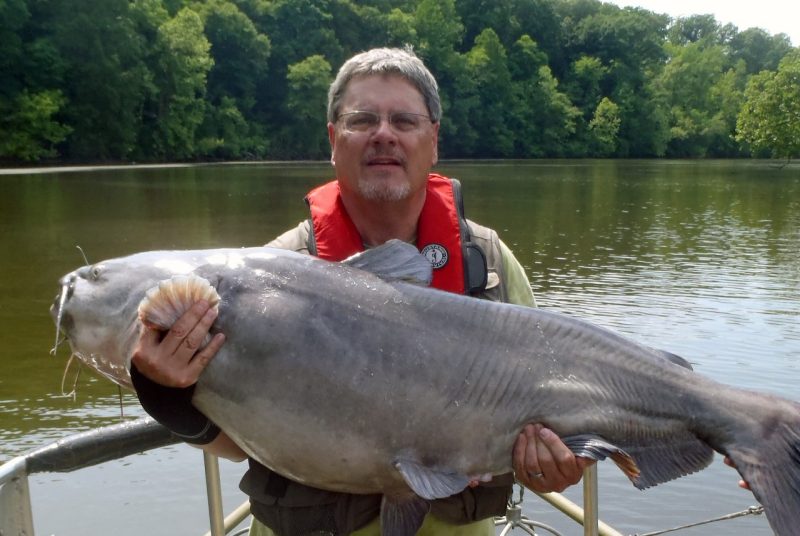 Man holds a catfish caught for research study