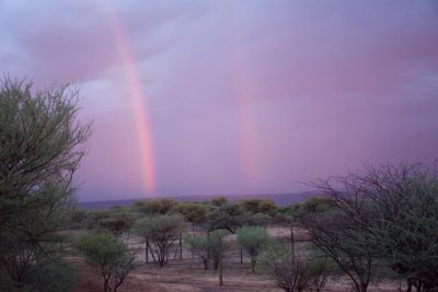 December through April marks the rainy season in Namibia.  Although it can make field work messy, it is an excellent time for birding and beautiful rainbows, such as the two pictured here.  Photo by Jelena Djakovic.