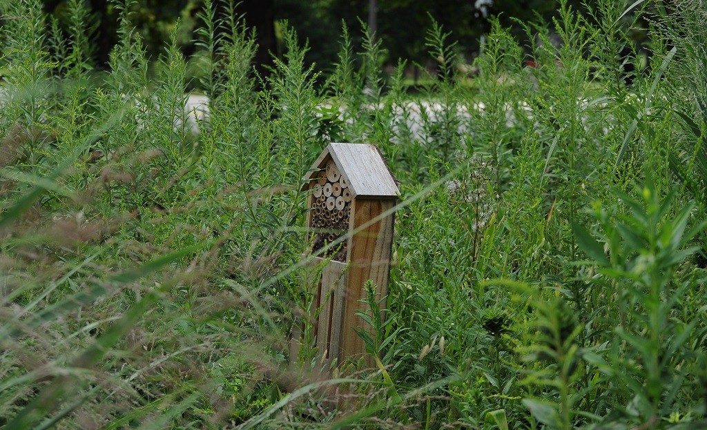 Bee hotel implemented through the Green RFP program.