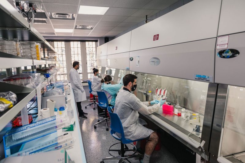 Biomedical engineering majors working in a lab to grow, freeze, and/or thaw cells during the fall semester 2020