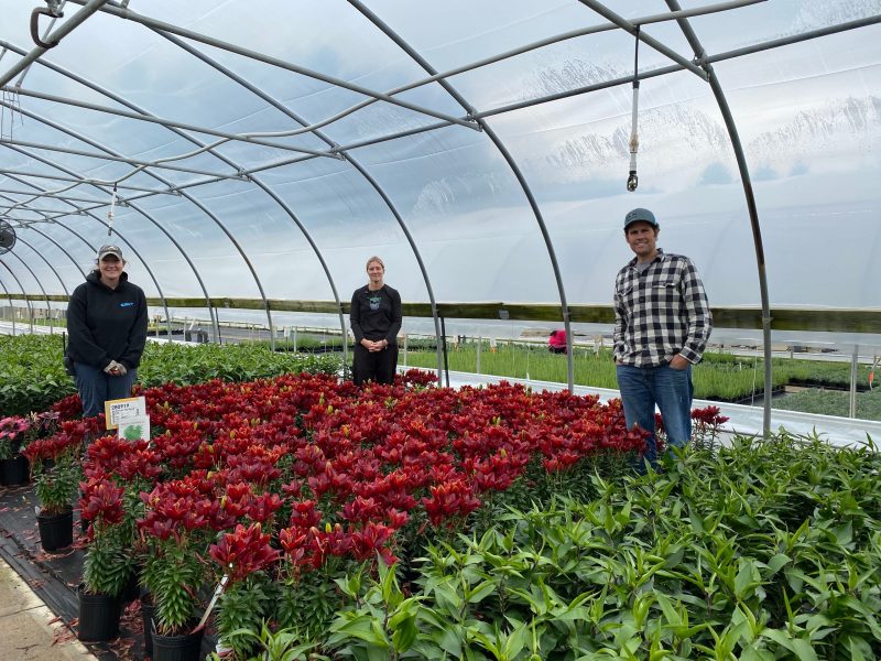 Alicia Nester, Audrey McReynolds, and Isaac Brantingham, Virginia tech alumni, helped sow seeds of compassion when Riverbend Nursery donated more than 800 lilies to regional hospitals.