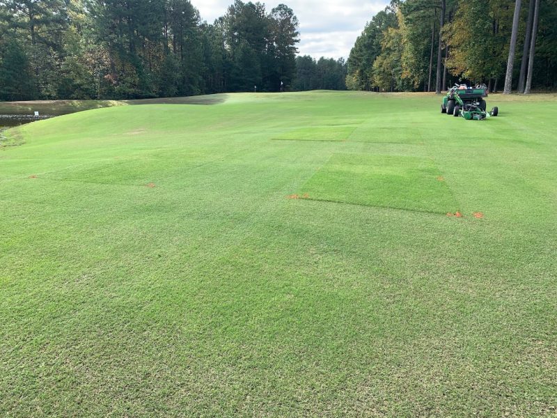 At Independence Golf Club in Richmond, there's a unique partnership that allows Virginia Tech researchers to conduct research on a live golf course. Pictured above is research on the impact of mowing height on grasses.