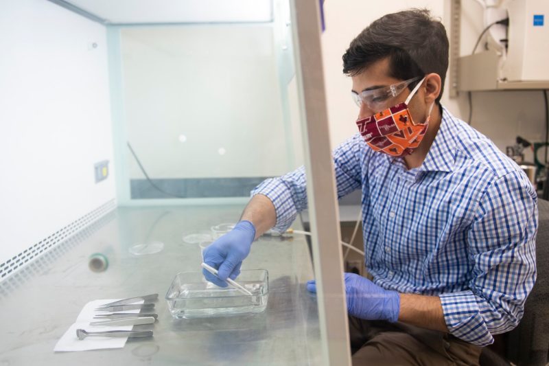 Saeed Behzadinasab, a graduate assistant in the Department  of Chemical Engineering, works on samples in Gordon Hall. Behzadinasab is working with William Ducker and his team to develop a film substance that neutralizes the SARS-CoV-2 virus on surfaces. Photo by Ryan Young.
