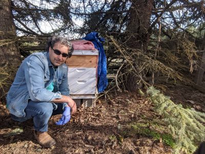 Entomologist Arash Rashed's research is focused on vector-borne plant diseases and insect-plant interactions.