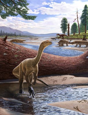 Artistic reconstruction of Mbiresaurus raathi (foreground) with the rest of the Zimbabwean animal assemblage in the background. Includes two rhynchosaurs (front right), an aetosaur (left), and a herrerasaurid dinosaur chasing a cynodont (back right). Small lake beds surround the animals, as do trees.