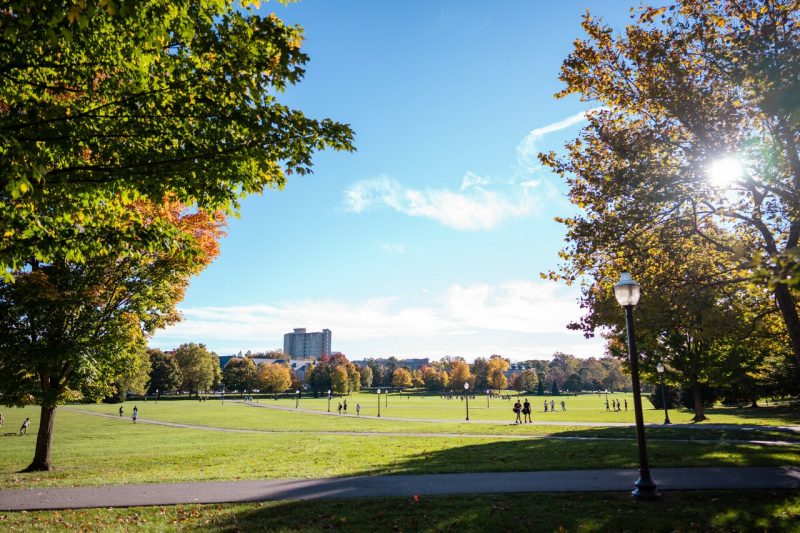 photo of fall colors on Virginia Tech's Blacksburg campus.