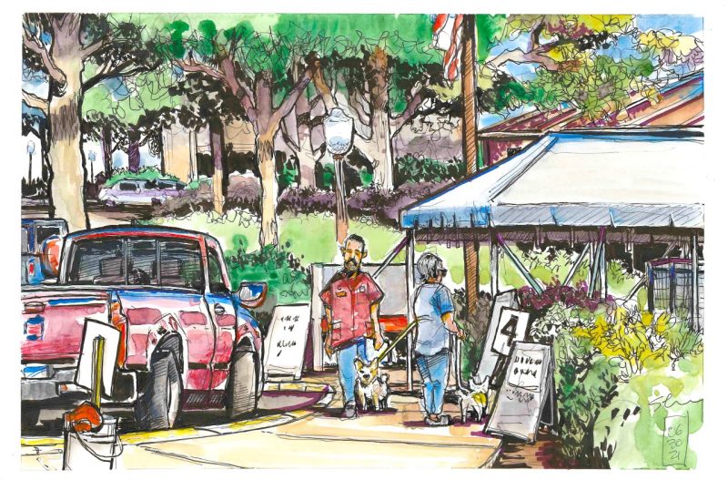 Sketch in watercolor and ink of patient check-in/drop-off in front of the Veterinary Teaching Hospital 