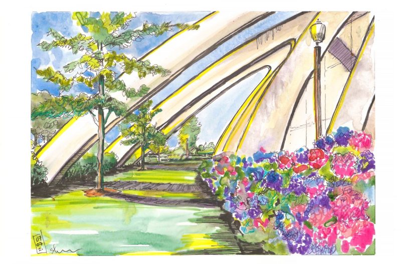 Sketch in ink and watercolor of hydrangea outside cassell coliseum