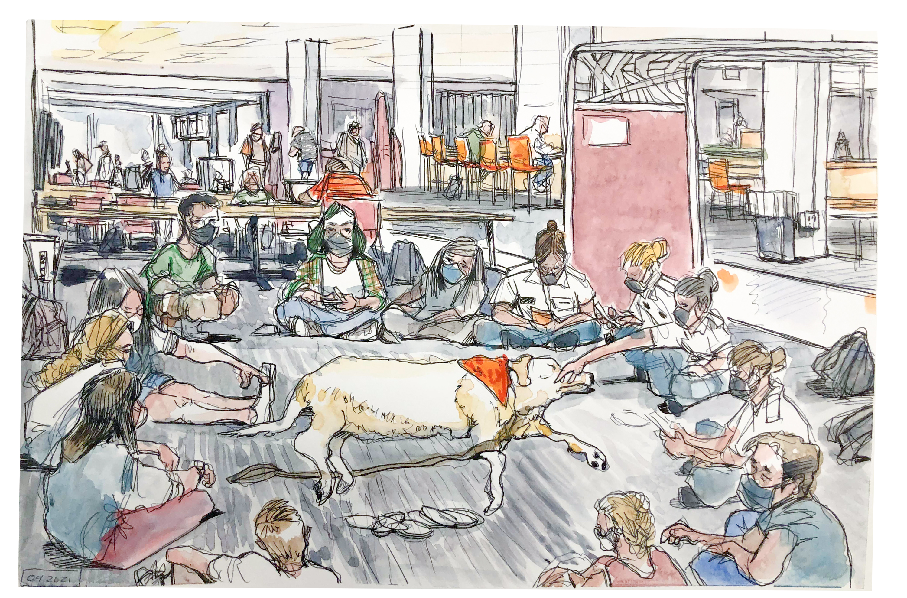 Ink and watercolor illustration with a yellow lab laying inside a circle of students, two students are reaching out to pet Josie, a theraphy dog on staff at the Cook Counseling Center
