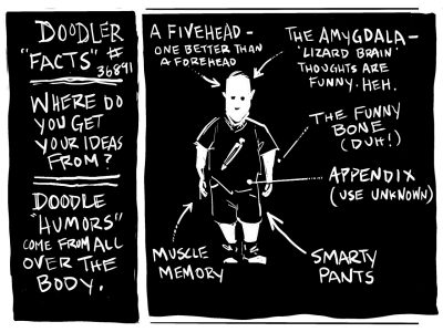 Digital sketch of Doodler and where his ideas come from. Funny bone, appendix, smarty pants, muscle memory, a five head, and the amygdala