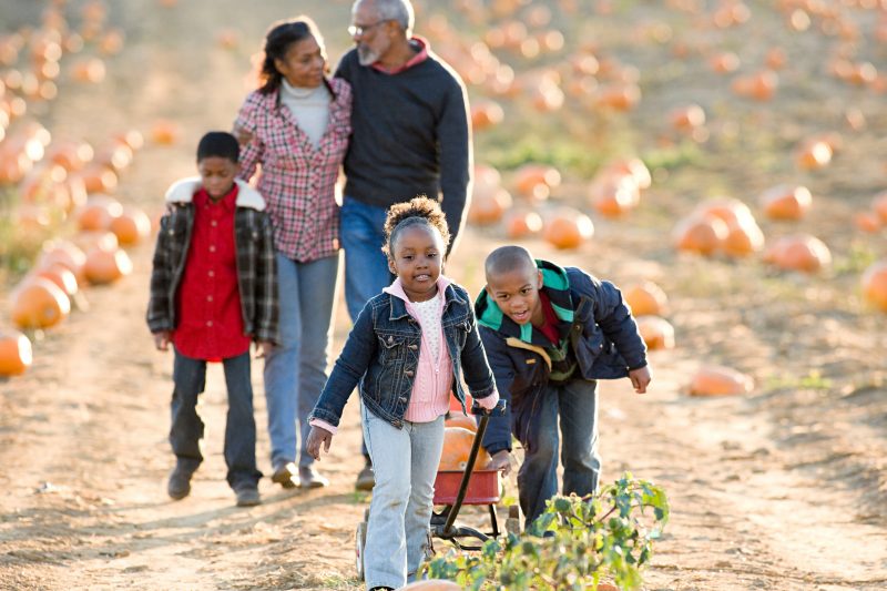 Woman and child browse pumpkins in a pumpkin patch.
