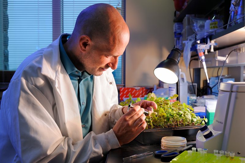 A man in a lab coat studies plants in a lab.
