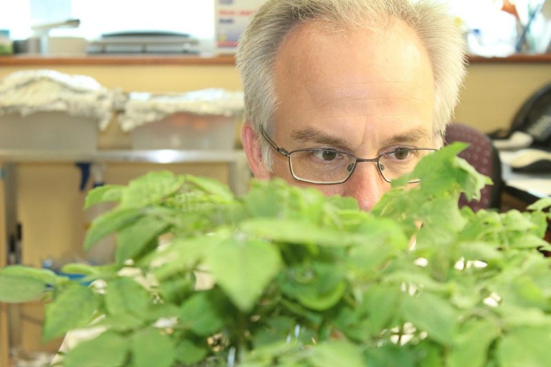 David Haak with plant