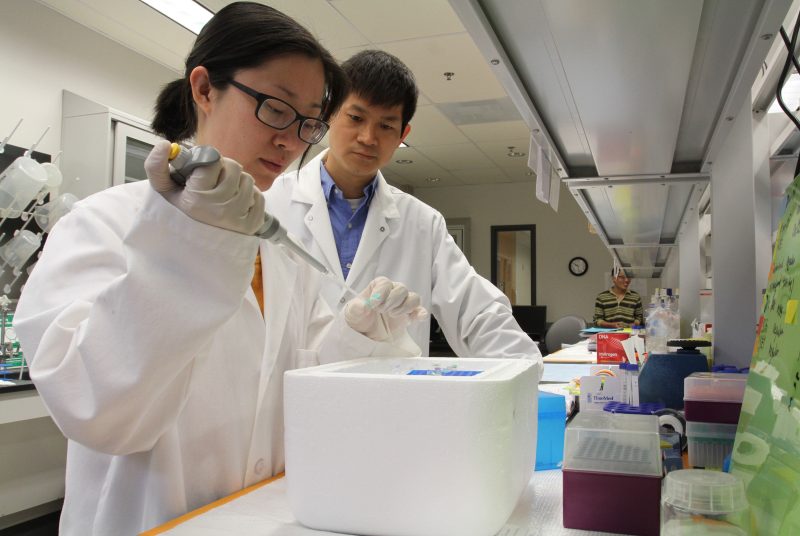 Dr. Xie works with a graduate student in his laboratory.