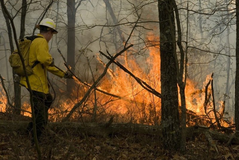 A firefighter at work.