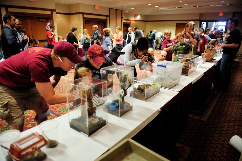 The much-anticipated annual  Hokie BugFest will take place on Saturday, October 14th at the Inn at Virginia Tech.