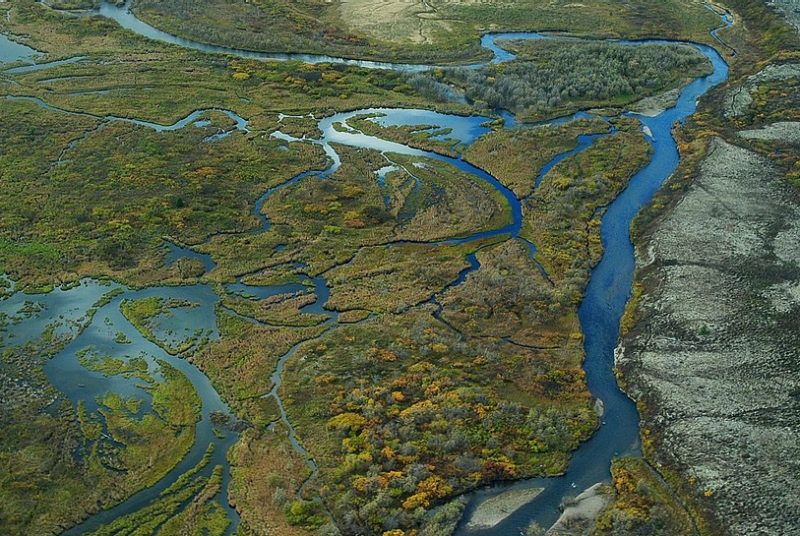 Aerial shot of wetlands