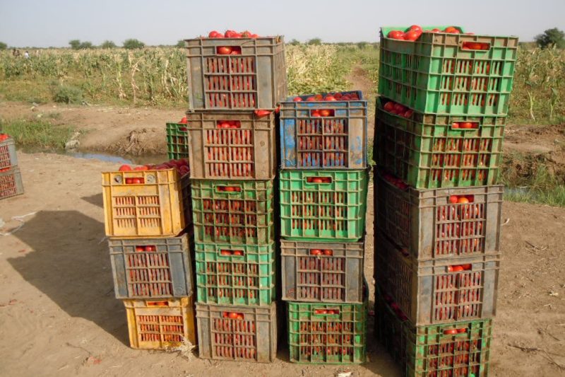 17 Crates of tomatoes in Nepal in 4 stacks. 