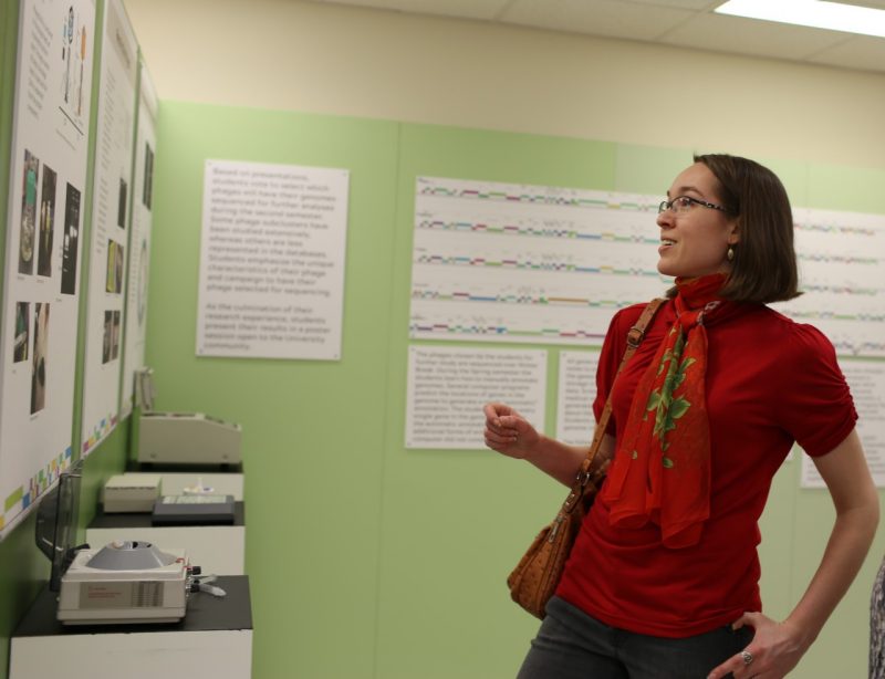 Visitors learn about phage hunting from the exhibit