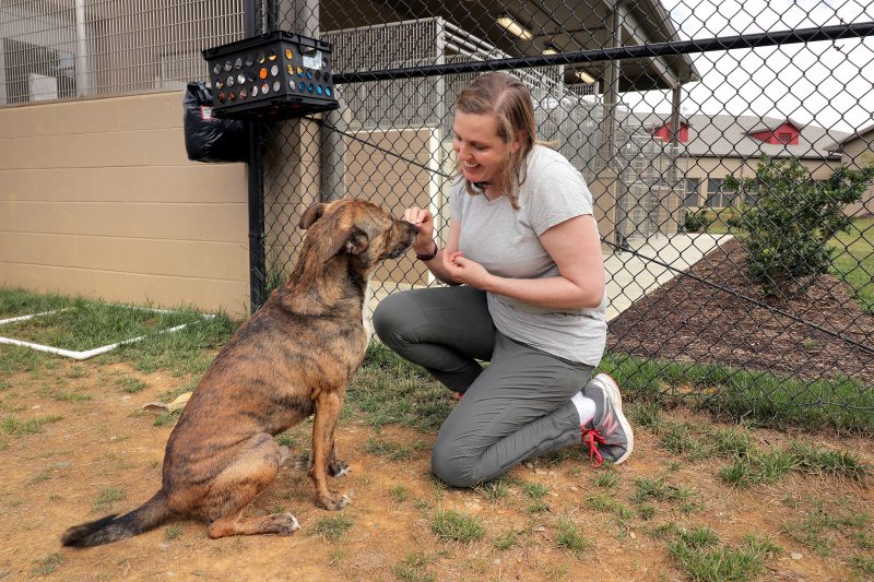 Each year, over four million dogs enter animal shelters in the United States. Less than 20 percent of these dogs are reclaimed by their owners, which leaves millions of shelter dogs in search of a forever home. Erica Feuerbacher is working to change this.