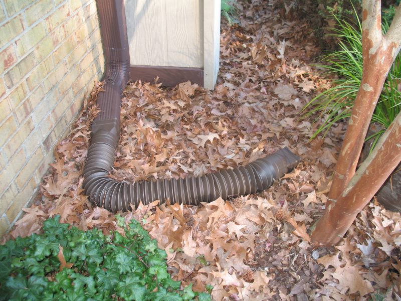 Flexible fittings and extension pipes are attached to the end of a downspout and direct the runoff away from the house and impervious areas to pervious areas in the landscape, like flowerbeds, vegetable gardens, and lawns. Stormwater can also be directed into other practices, like grass swales, rain gardens, and buffers. Photo by Mary Ann Kincaid, Virginia Beach Master Gardener Water Steward.